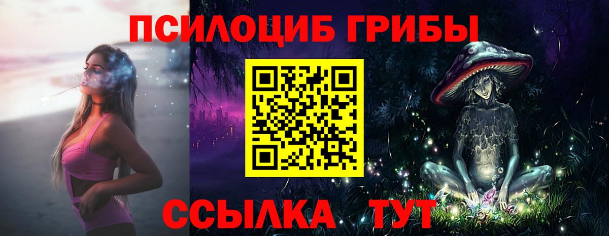 Галлюциногенные грибы Psilocybe  Галлюциногенные грибы Cubensis  Лабытнанги  Вход с VPN 